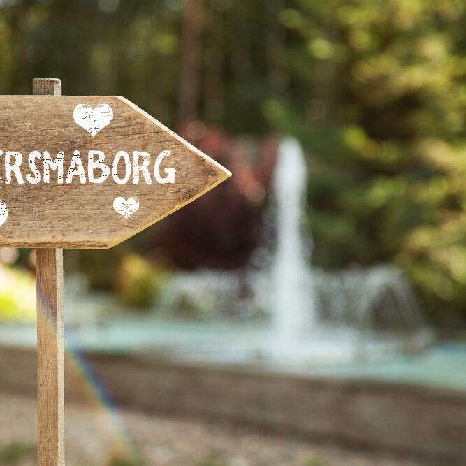 aankleding trouwerij bruiloft Groningen Allersmaborg